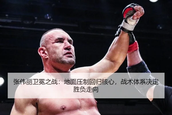zhang-wei-li-wei-mian-zhi-zhan-di-mian-ya-zhi-hui-gui-he-xin-zhan-shu-ti-xi-jue-ding-sheng-fu-zou-xiang-2-202.jpg