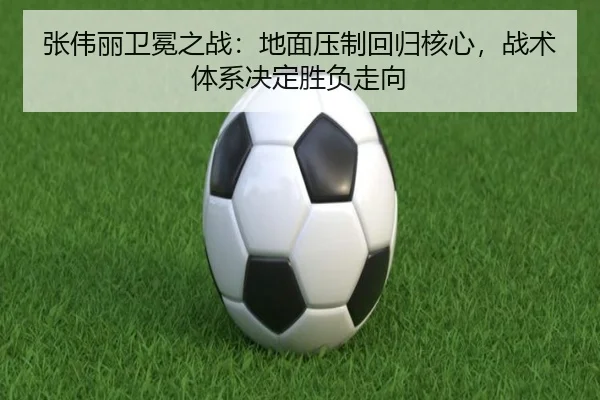 zhang-wei-li-wei-mian-zhi-zhan-di-mian-ya-zhi-hui-gui-he-xin-zhan-shu-ti-xi-jue-ding-sheng-fu-zou-xiang-3-862.jpg