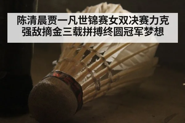陈清晨贾一凡世锦赛女双决赛力克强敌摘金三载拼搏终圆冠军梦想